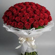 Букет 101 Красная роза Блэк Мэджик в Сычёво