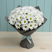 Букет цветов из:  Хризантемы #REPLACE_PRED# Сычёво