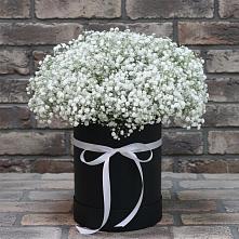 Цветочная композиция из Гипсофила в шляпной коробке в Сычёво